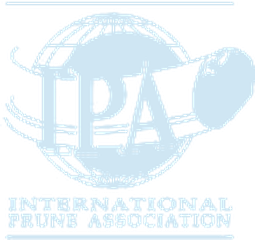 IPA